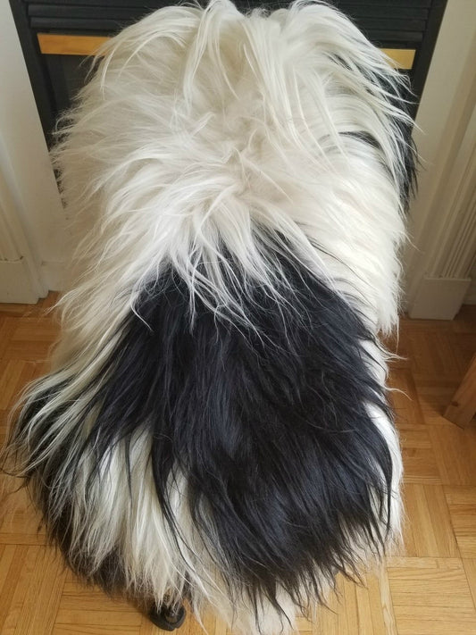 Black White Real Icelandic Sheepskin fur Rug Real Shaggy