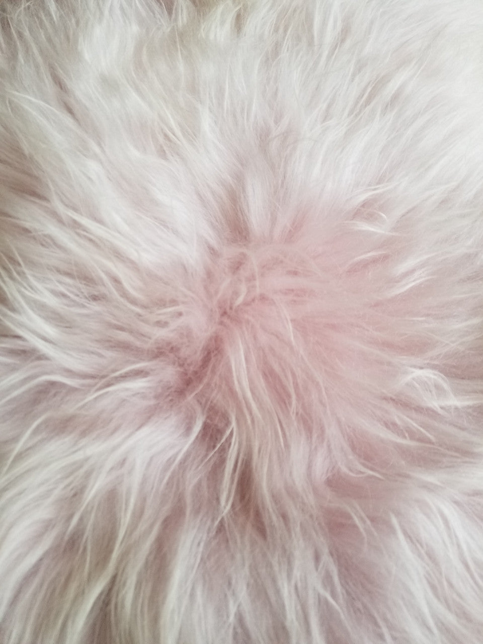 dyed pink sheepskin rug genuine Icelandic