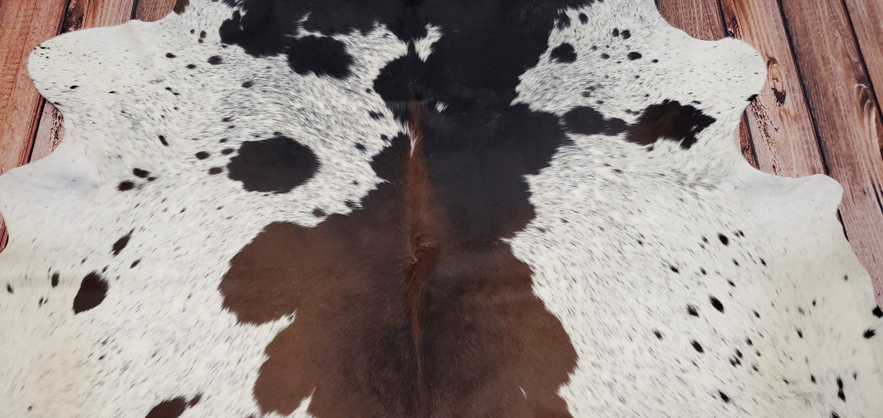 Longhorn Cowhide Rug Large And Exotic 94 X 85 Inches