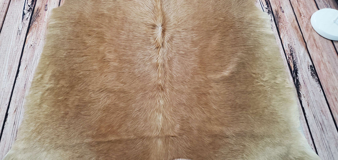 Honey Brown Cowhide Rug 6.6ft x 5.4ft