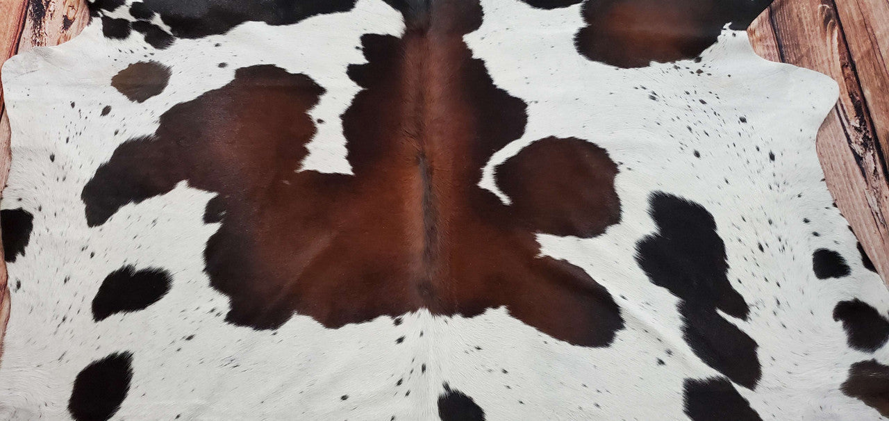 This large cowhide rug was perfect! Just what I wanted. Looks elegant under the coffee table in my living room.