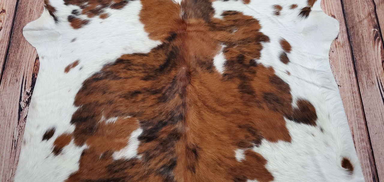 The versatile design options of this cowhide rug available mean that there is something for every interior style. There are various sizes, shapes and colors available so you can easily find one that suits your particular needs. The strong color palette allows you to incorporate many different elements together in one space without overpowering the other pieces in your room.