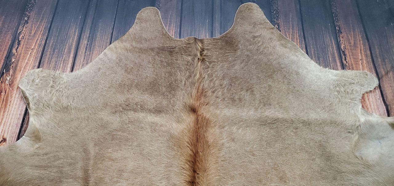 Such a gorgeous cowhide rug Toronto and unique in living room. Gives a touch of elegance to the décor. Colors are so perfect, very soft and natural.
