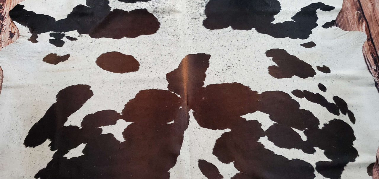 This large cowhide rug is just what I needed! It really is elegant on the table in my fire place. The discount price was great, too! These cowhides are genuine, natural, and made to last.