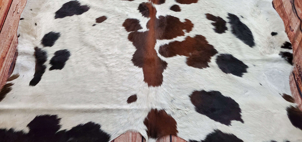 Dark cowhide rugs can be used for upholstery old chairs or furniture and can give a new look to your dining room.