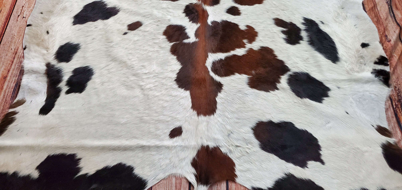 Dark cowhide rugs can be used for upholstery old chairs or furniture and can give a new look to your dining room.
