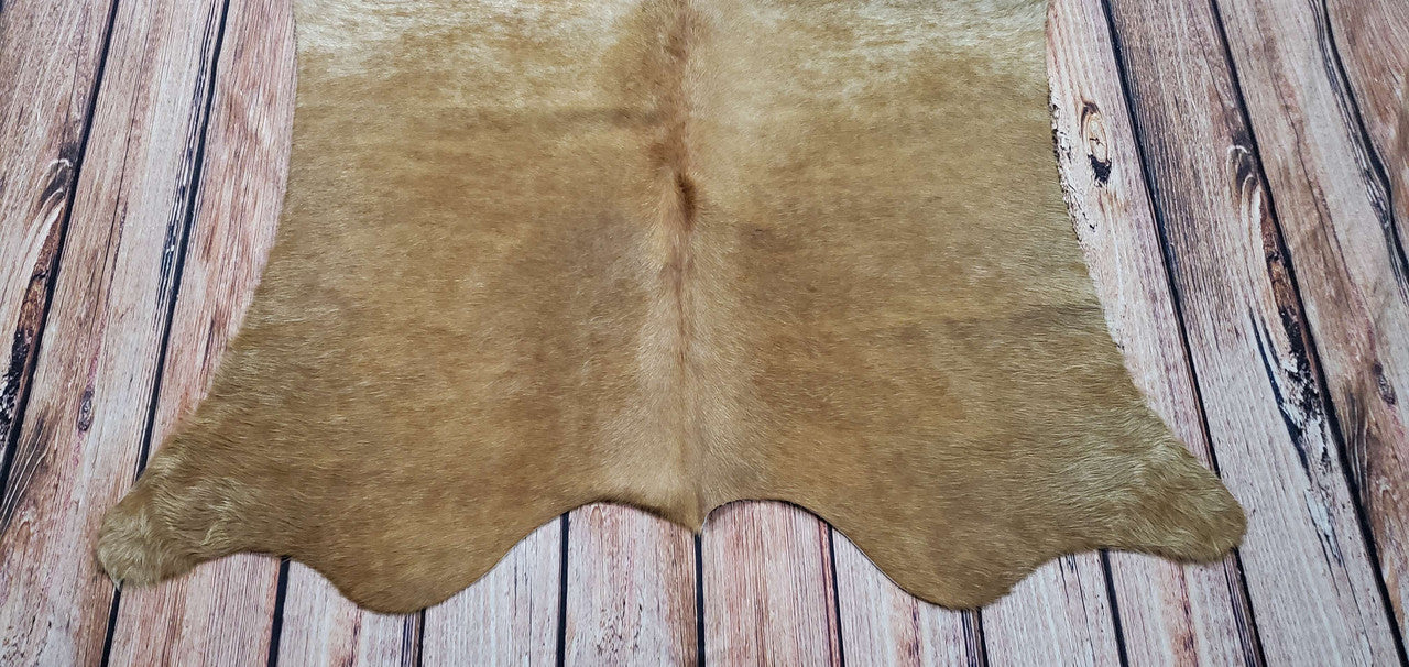 This small cowhide rug appears to me in excellent shape, and the beige and dark brown colors are awesome. It's an ideal addition to any modern-day living room.