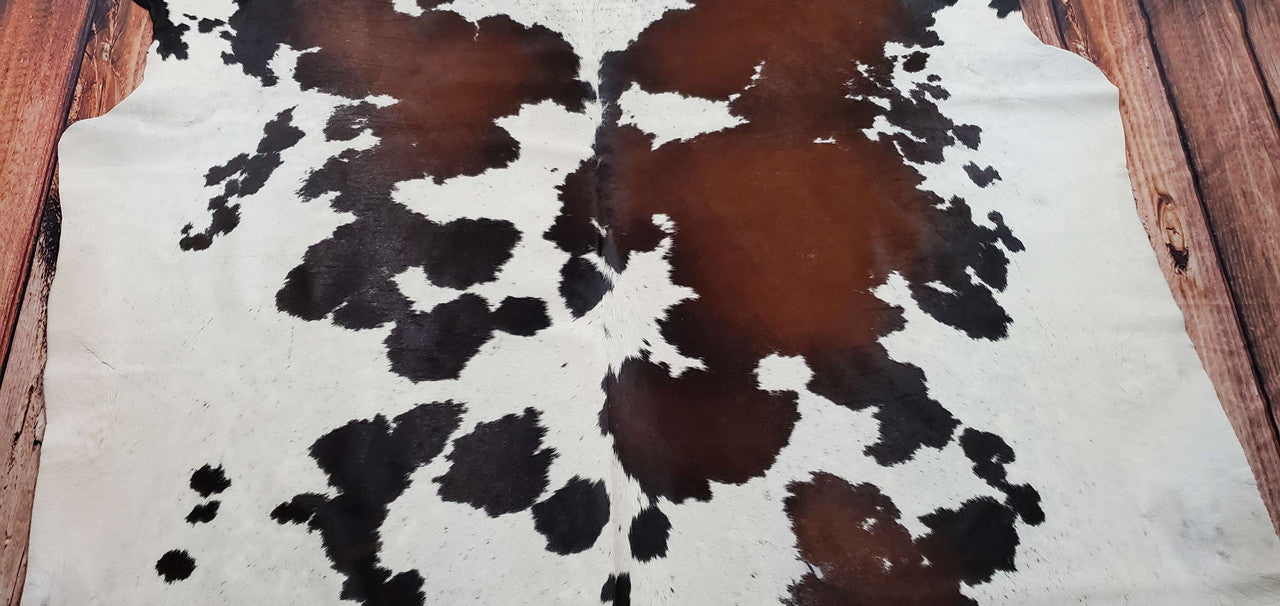The extra large dark brown cowhide rug is beautiful and It looks great on wooden floor, will be the subject to glare in any room