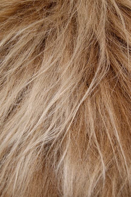 Rustic Brown Sheepskin Rug