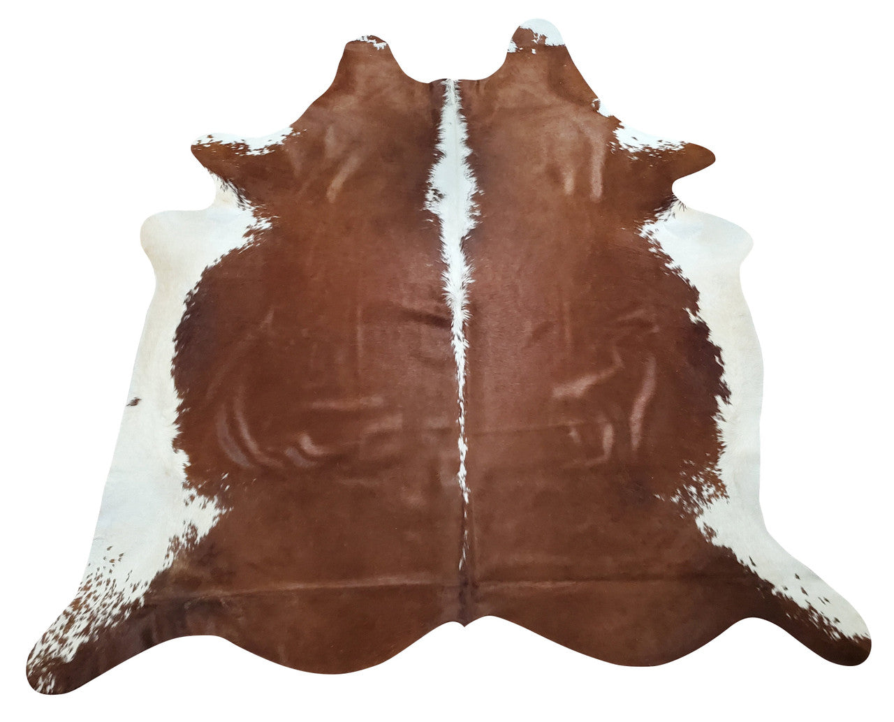 This Hereford dark brown cowhide rug is great for a small table to be place on top of, there is no smell or any deep creases.