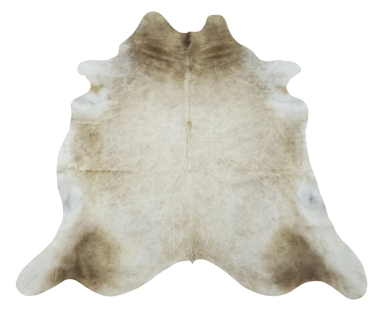 Planning revamp gallery space or entryway, this cowhide rug is a great choice, it will work with the latest art or western style space.