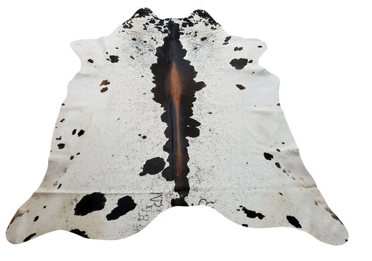 Lots of new cowhides to add to your home decor ideas, very soft and velvety feel with free shipping all over Regina.
