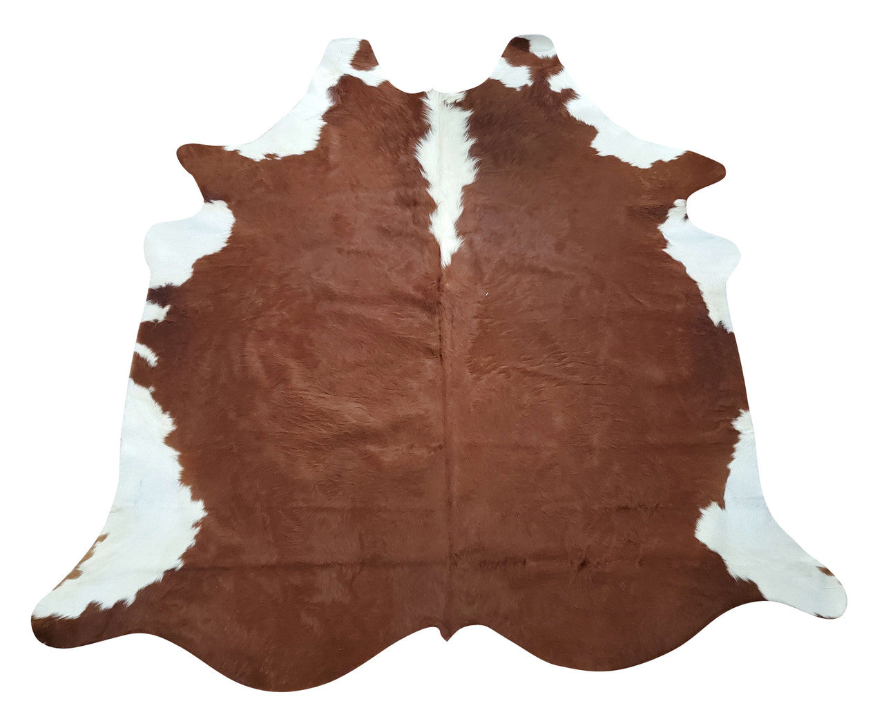 Cowhide rug Canada and large sofa will work like a delight in any space, and of course a love will do the trick