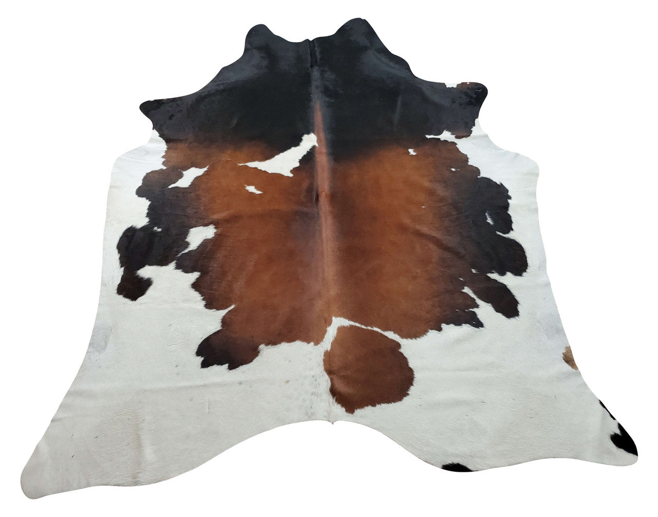 The dark brown cowhide rugs are soft to move on and rest after a long tiring day, naturally hypoallergenic and perfect for any space.