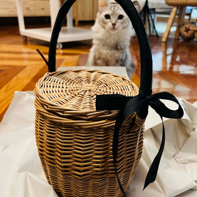 Rattan Picnic Bag With Lid