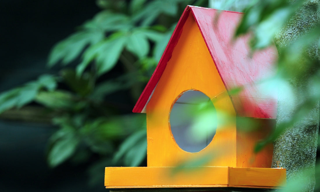 pink and yellow bird house