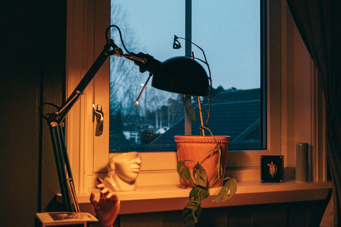 a window sill with a potted plant next to it