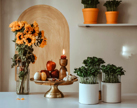 a table topped with potted plants and a candle