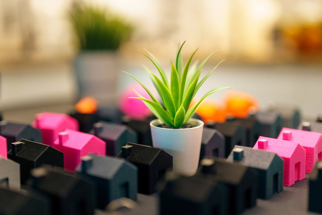 A plant grows among toy houses of various colors.