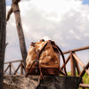 Brown White Cowhide Backpack Purse