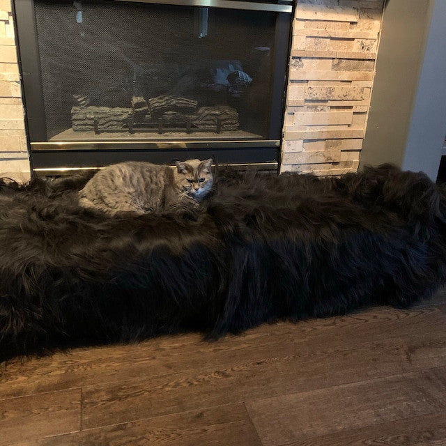 Large black Sheep fur Rug