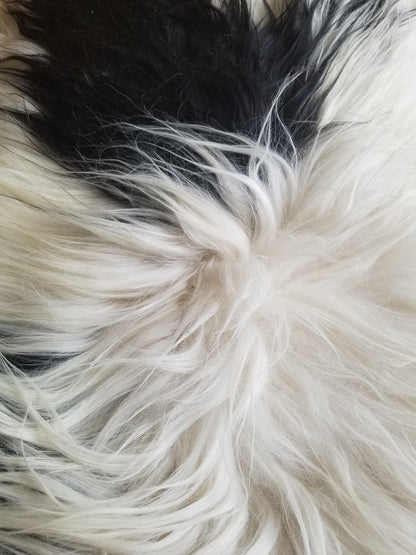 Black White Real Icelandic Sheepskin fur Rug Real Shaggy