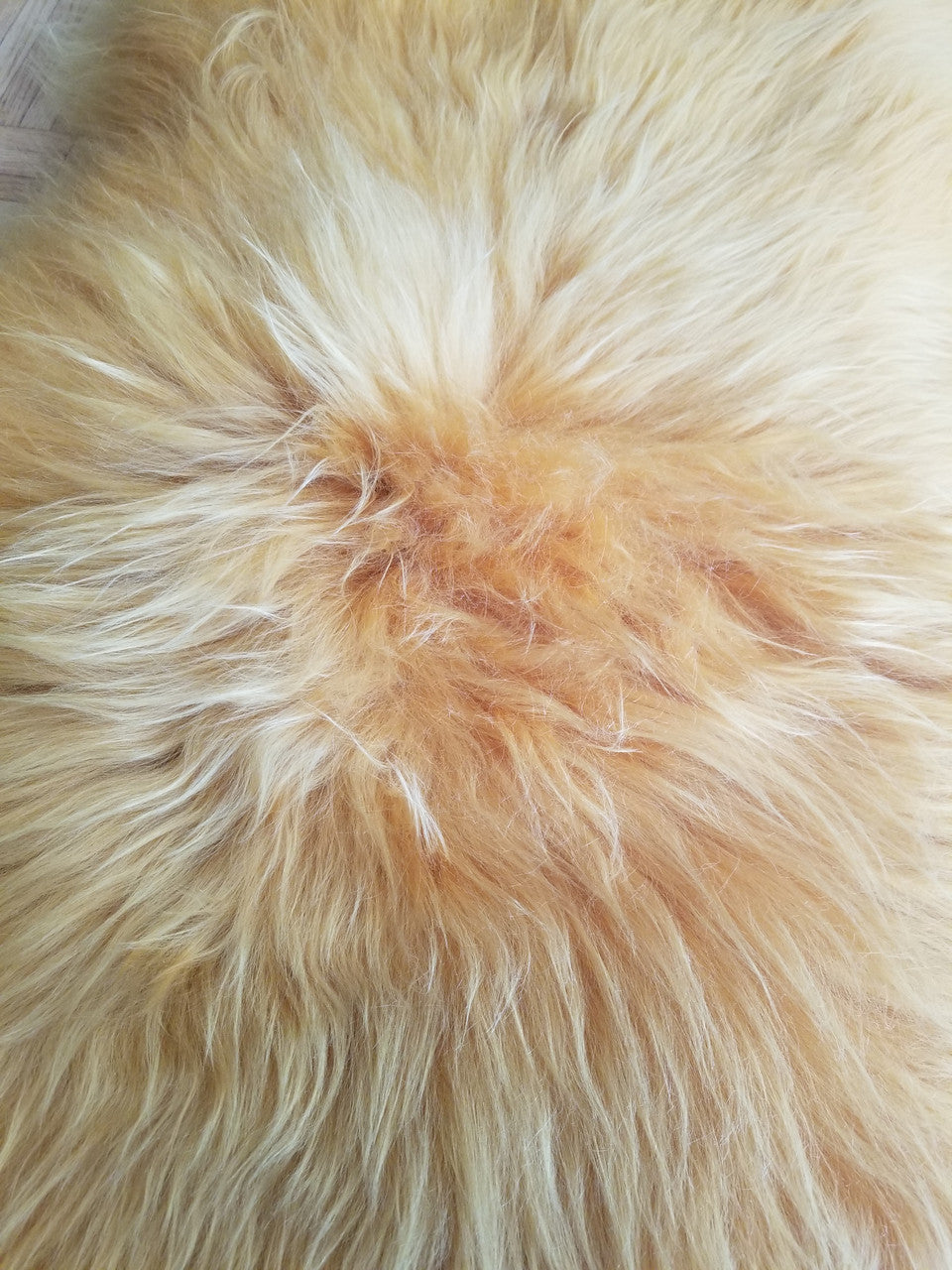 Original Genuine Dyed Orange Sheepskin Rug Fur Carpet