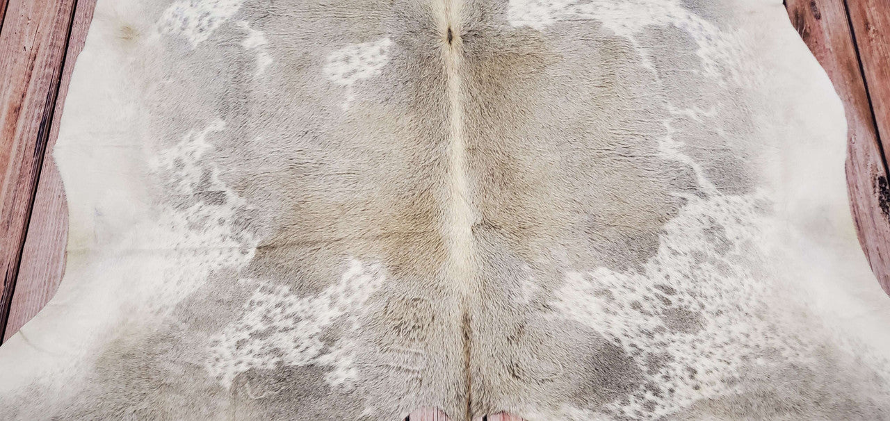 Transform your living space with an authentic cowhide rug! Rustic charm and free shipping all over Canada. Shop now and enjoy the beauty of nature in your home.