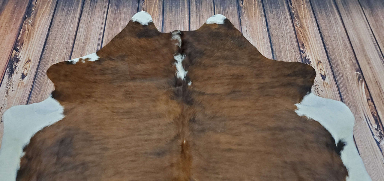 Chestnut Brown White Cowhide Rug 6ft X 6.4ft
