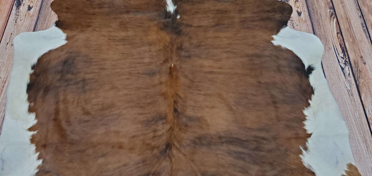 Chestnut Brown White Cowhide Rug 6ft X 6.4ft