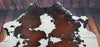 Extra Large Dark Brown Cowhide Rug 7.4ft x 6.1ft