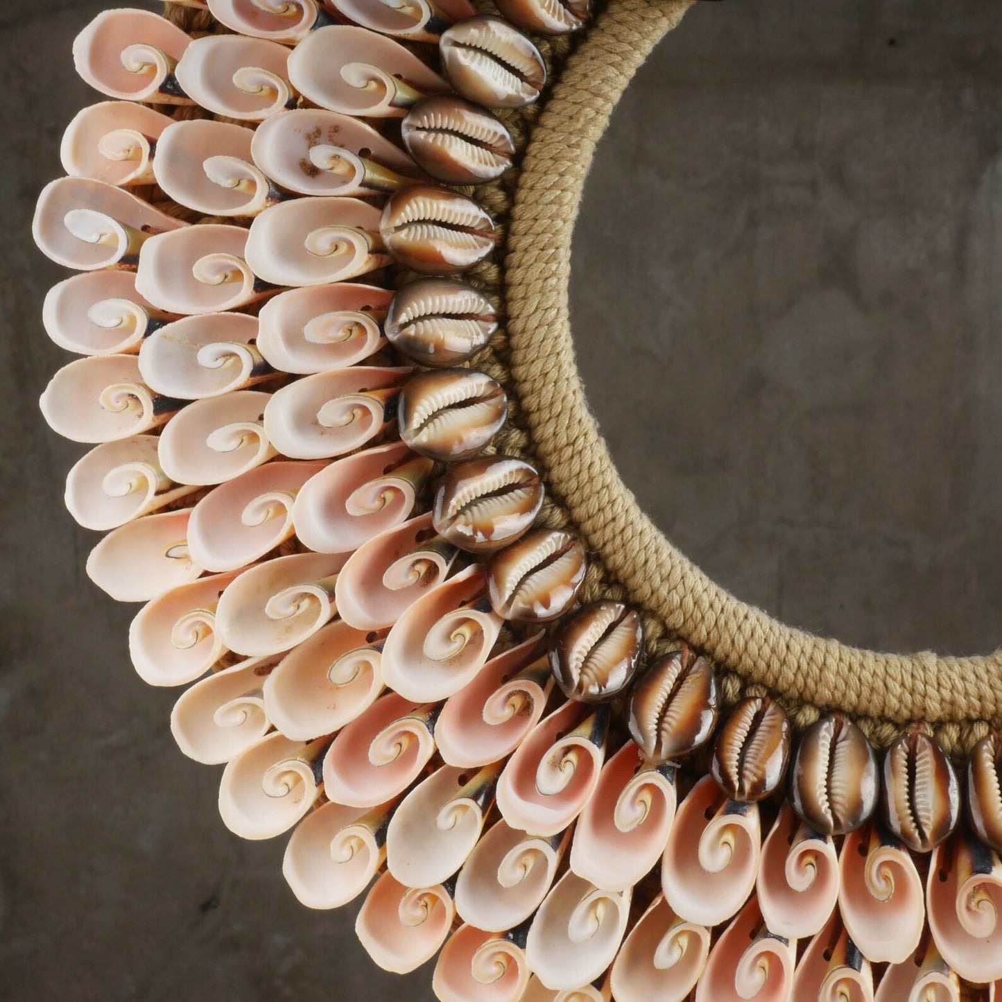 Real Shell Necklace Table Home Decor