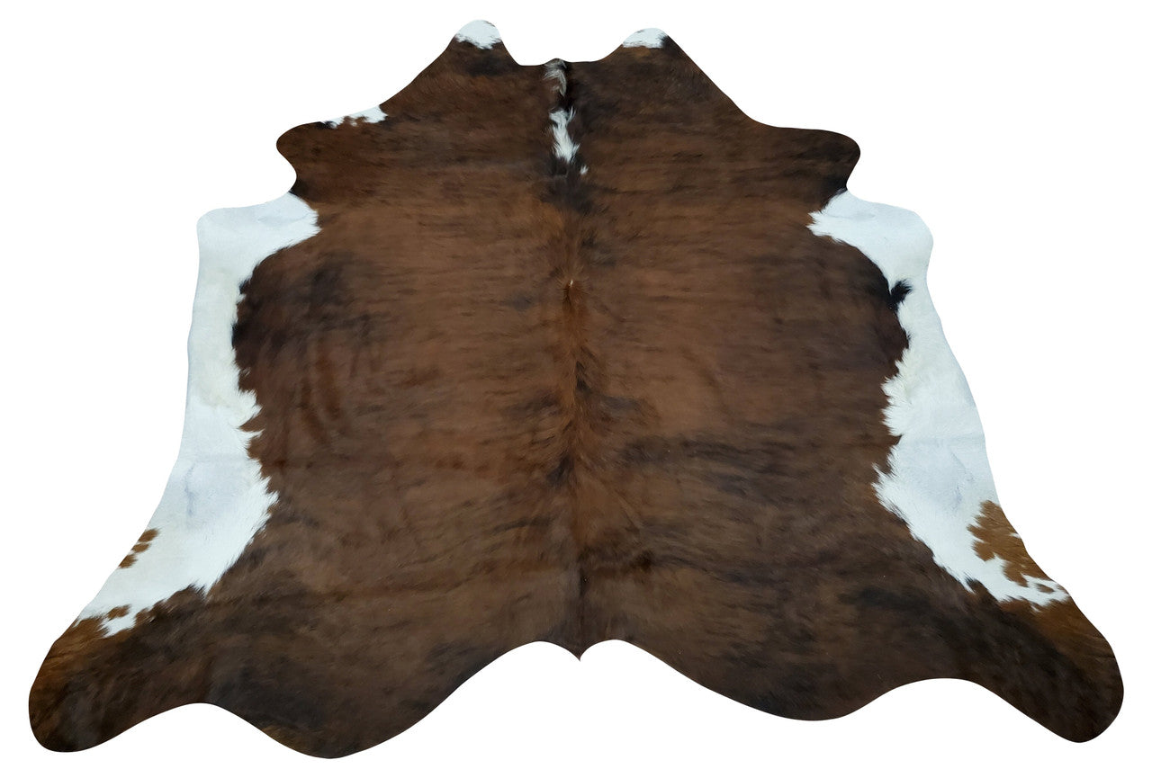 A cowhide rug perfectly fits a living room with chestnut brown white, it looks perfect if you want to retain clean feel to your space, natural and real