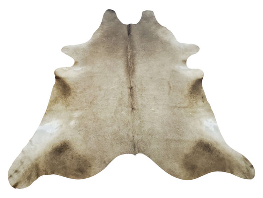 If you are browsing for a champagne cowhide rug, our Brazilian cowhides are very soft and smooth and free shipping. 