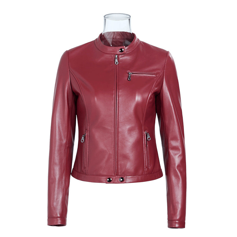 Korean slim fit cropped sheepskin leather jacket