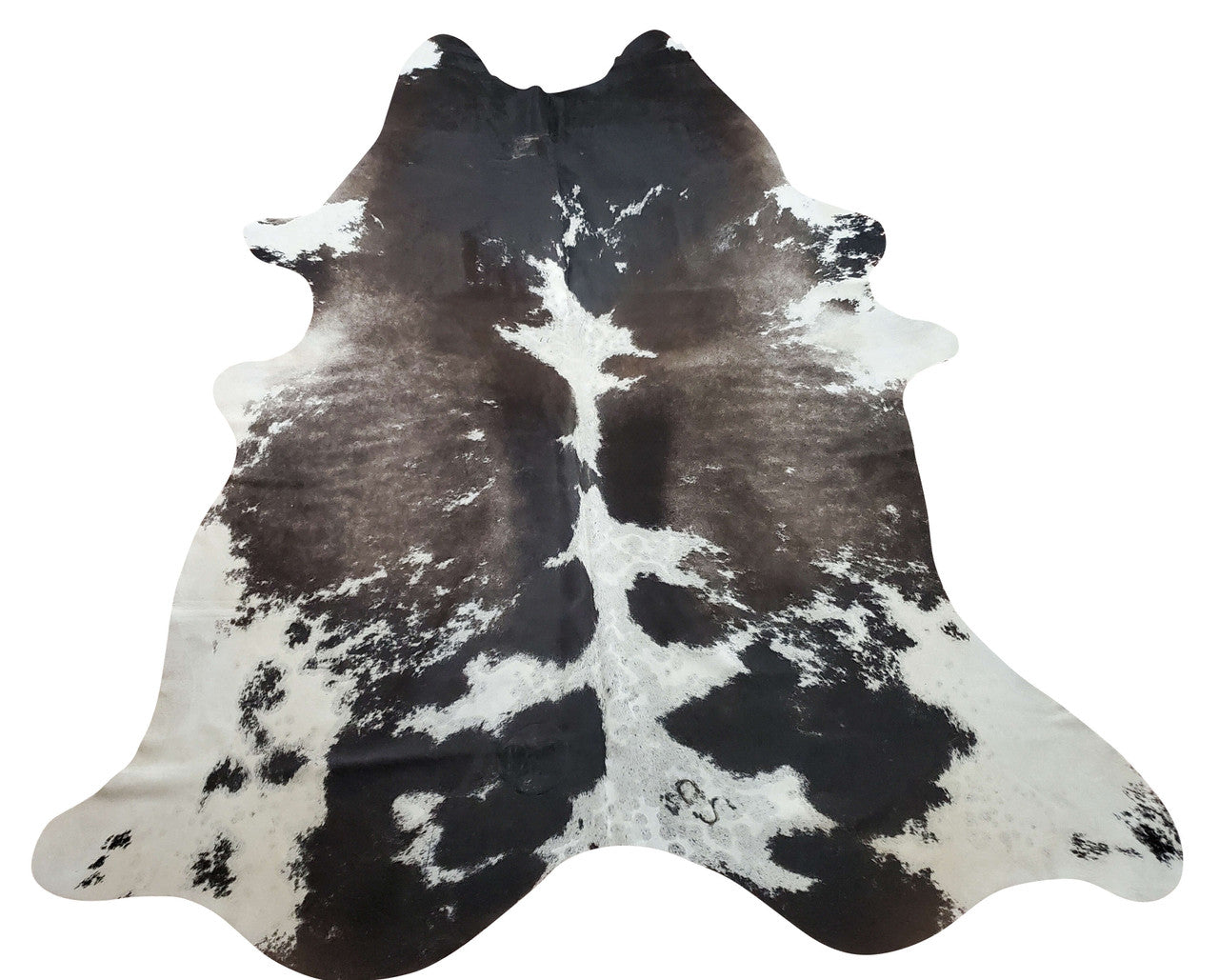 Large Brazilian cowhide rugs online in amazing discounted prices for your home. Nothing feels better than a gray-white cowhide rug in a modern home, and looks welcoming so you might opt to sit on them.
