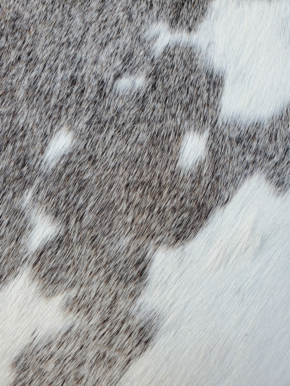 Cowhide Rug Langley Township