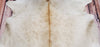 Genuine Beige White Cowhide Rug 6.6ft x 6ft