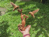 Wooden Sculpture Hummingbirds and Cactus Flower